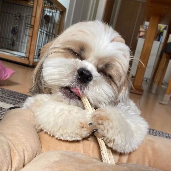 Meet your Posher, David - Picture 2 of 3